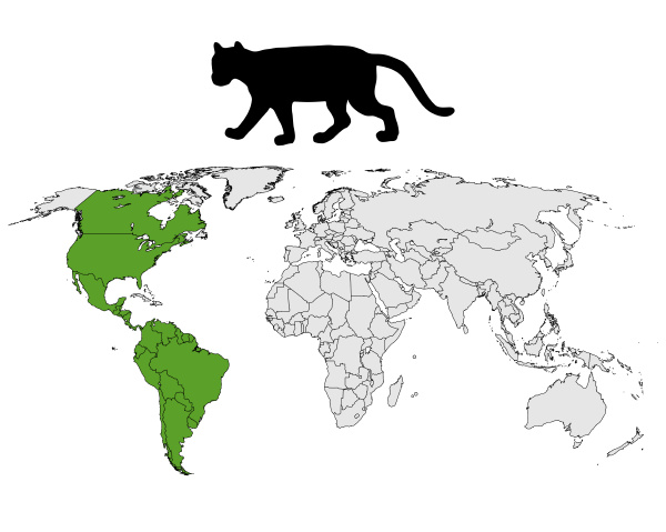 Mapa de distribución de Puma #4672388 de stock PantherMedia