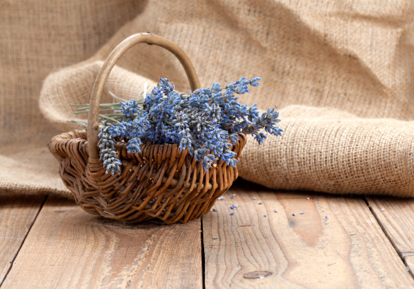 flores de lavanda seca en una cesta en una base de - Foto de archivo  #14772227 | Agencia de stock PantherMedia