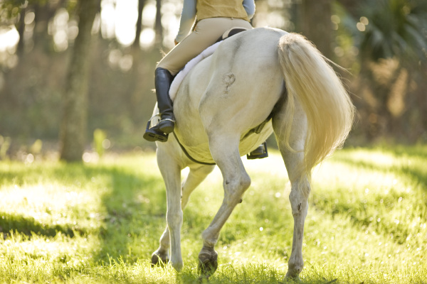 mujer ocio color femenino paseo caballo