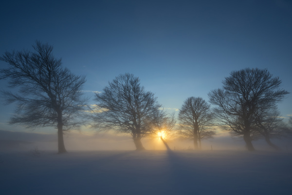 libro rural puesta del sol niebla