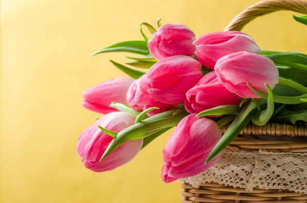 hermoso ramo de tulipanes rosados en una cesta de - Stockphoto #25959600 |  Agencia de stock PantherMedia