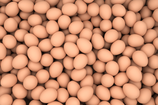 huevos de pollo