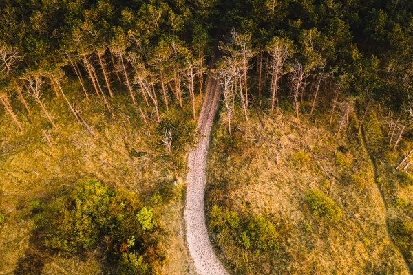 vista aerea de un camino que