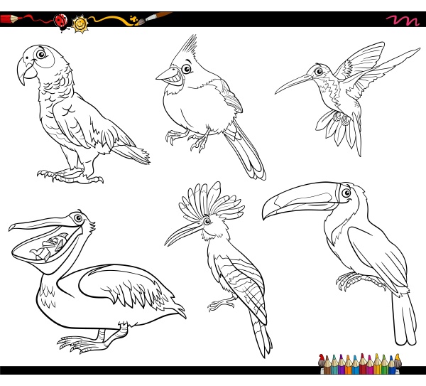 dibujos animados pájaros animales personajes - Foto de archivo #30924455 |  Agencia de stock PantherMedia