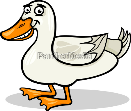 pato granja pájaro animal dibujos animados - Stockphoto #8724208 | Agencia  de stock PantherMedia