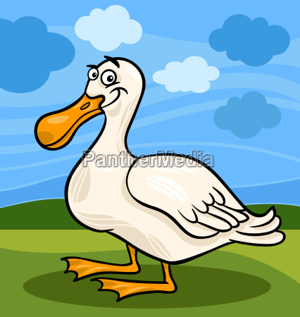 pato pájaro granja animal dibujos animados - Stockphoto #9092784 | Agencia  de stock PantherMedia