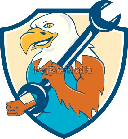 águila calva americana mecánico llave escudo de - Stockphoto #13637156 |  Agencia de stock PantherMedia