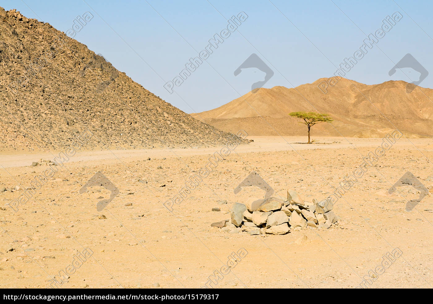 solitario en el desierto - Foto de #15179317 | Agencia de stock PantherMedia