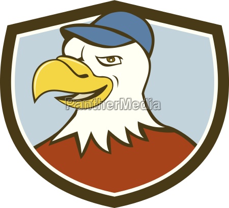cabeza de águila calva americana sonriente escudo de - Stockphoto #16477882  | Agencia de stock PantherMedia