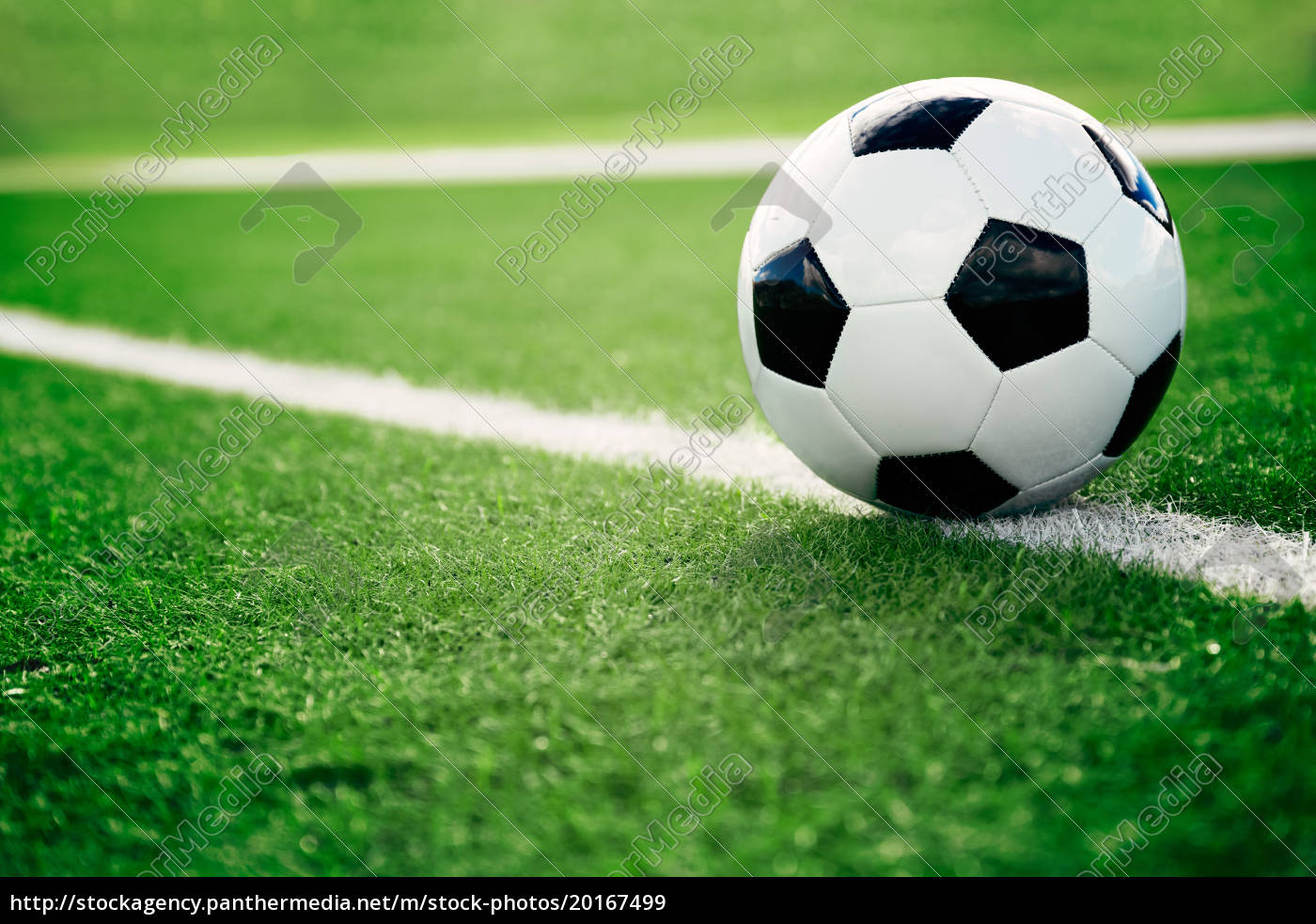 Béisbol En El Campo Interno Foto de stock y más banco de imágenes de Pelota  de béisbol - Pelota de béisbol, Béisbol, Campo - Lugar deportivo - iStock