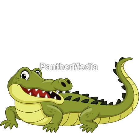 Cocodrilo de dibujos animados aislado sobre fondo - Stockphoto #24869928 |  Agencia de stock PantherMedia