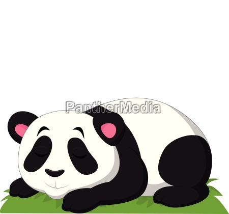 panda de dibujos animados durmiendo aislado sobre - Stockphoto #24871504 |  Agencia de stock PantherMedia