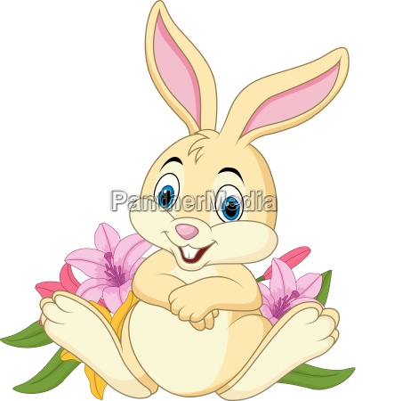Dibujos animados conejo divertido sentado - Stockphoto #24940954 | Agencia  de stock PantherMedia