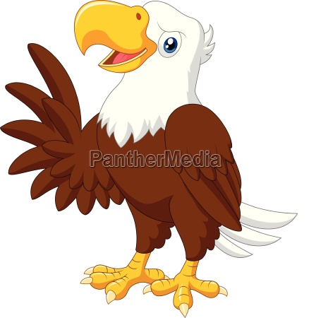 Dibujos animados águila divertida presentación - Stockphoto #25053498 |  Agencia de stock PantherMedia