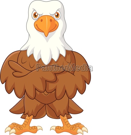 Lindo águila caricatura posando. aislado sobre fondo - Stockphoto #25092482  | Agencia de stock PantherMedia