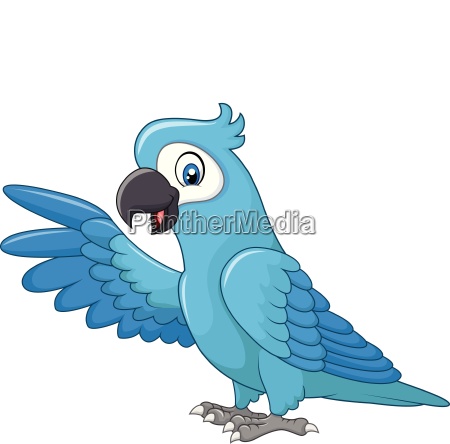 caricatura divertida guacamayo azul presentando - Stockphoto #25100104 |  Agencia de stock PantherMedia