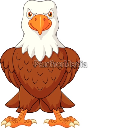 Dibujos animados águila calva posando aislado sobre - Stockphoto #25100190  | Agencia de stock PantherMedia