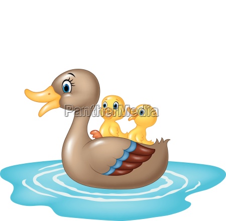 Patos de dibujos animados en el estanque aislados - Stockphoto #25117752 |  Agencia de stock PantherMedia