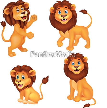 Conjunto de colección de leones de dibujos animados - Stockphoto #25257738  | Agencia de stock PantherMedia