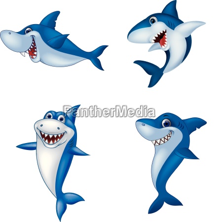 Conjunto de colección de tiburones de dibujos animados - Stockphoto  #25257218 | Agencia de stock PantherMedia