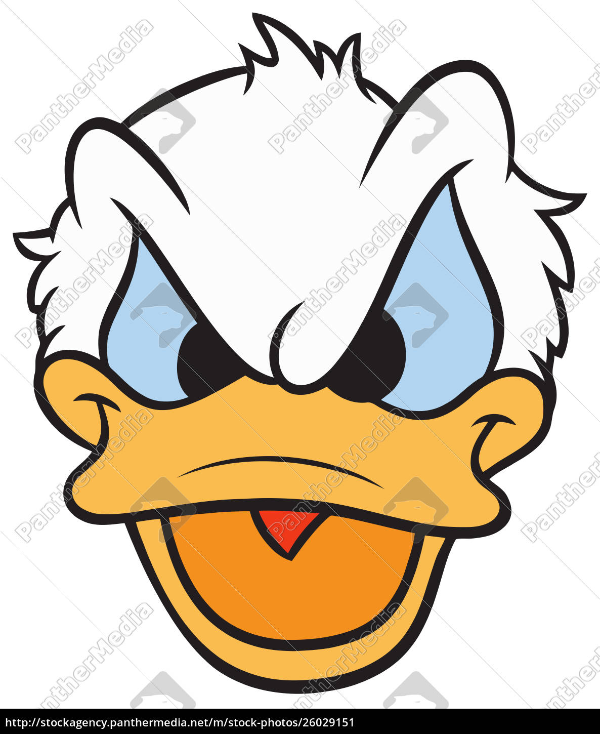 Pato Donald ilustración cabeza de dibujos animados - Derechos gestionados  imágen #26029151
