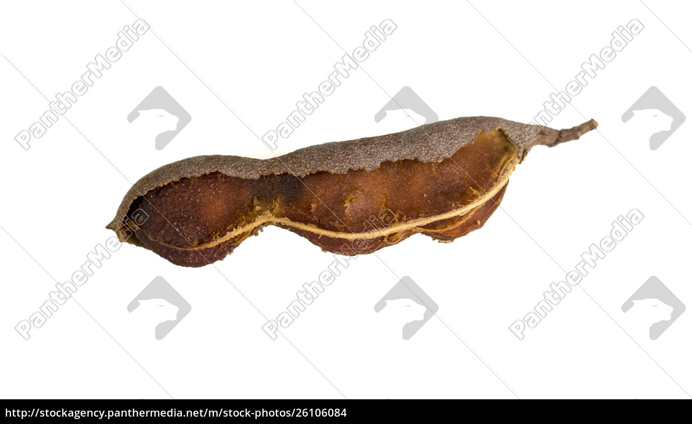 Tamarindo Pod Como La Fruta Cruda Stockphoto Agencia De Stock Panthermedia