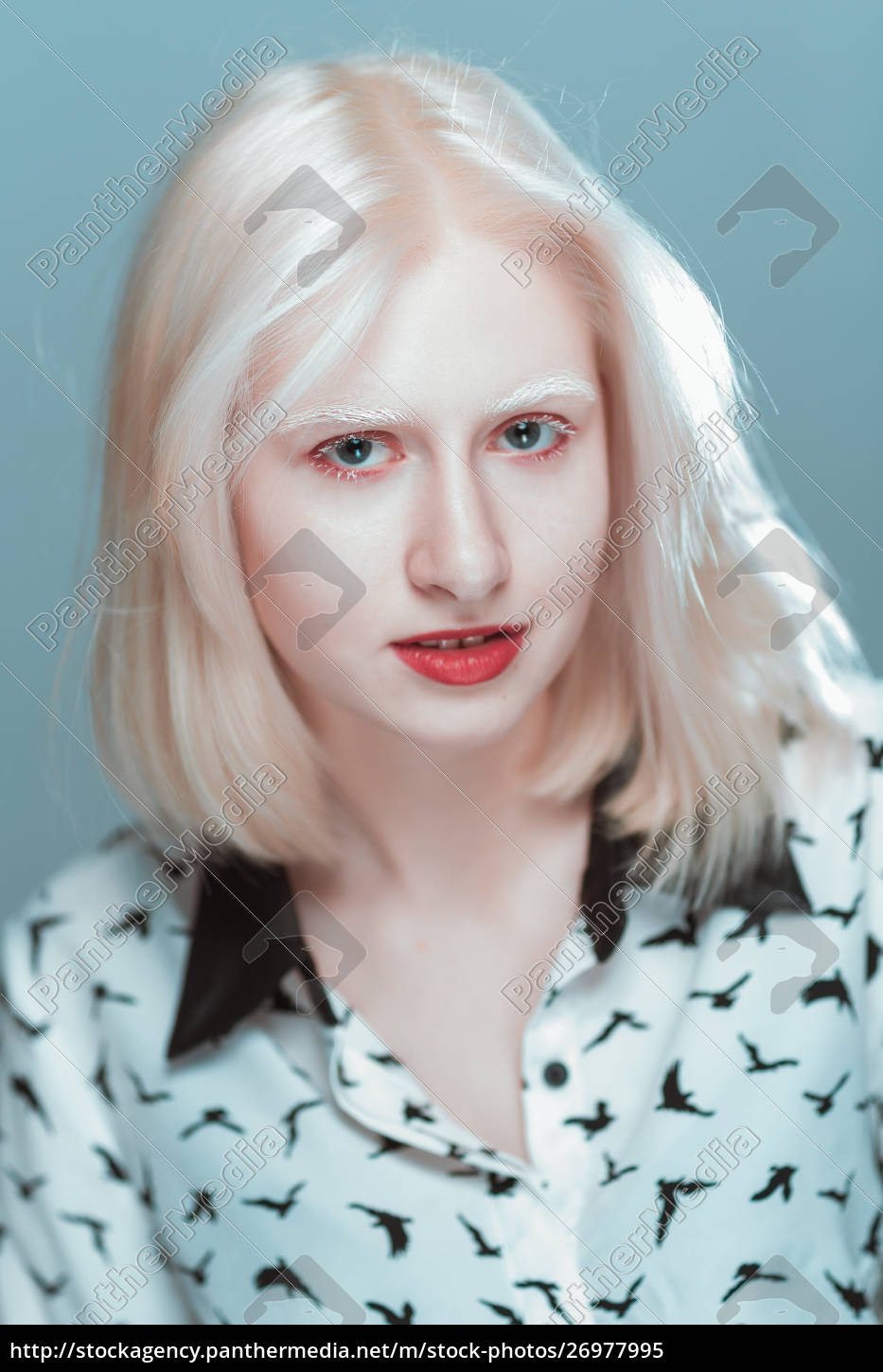 retrato de chica rubia albina en estudio - Stockphoto #26977995 | Agencia  de stock PantherMedia