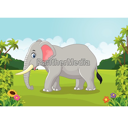 Dibujos animados elefante africano en la selva - Foto de archivo #27612125  | Agencia de stock PantherMedia