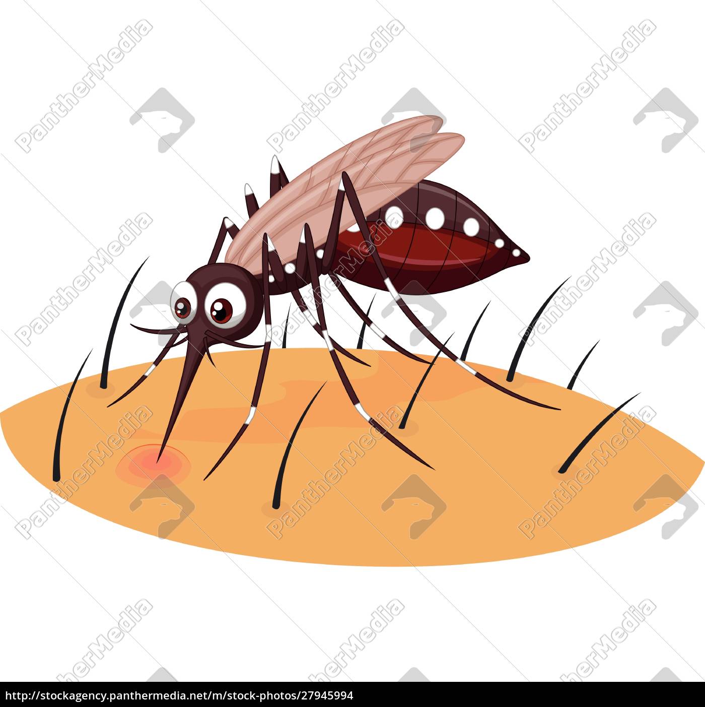 mosquitos fotos de dibujos animados