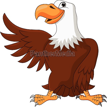 Caricatura de águila ondeando - Stockphoto #28007066 | Agencia de stock  PantherMedia