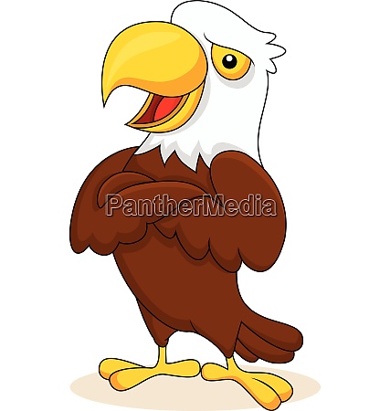 Caricatura de águila posando - Stockphoto #28007702 | Agencia de stock  PantherMedia