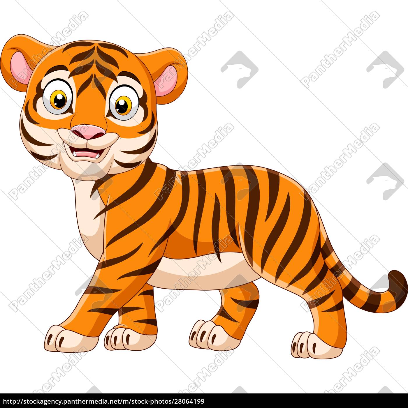 tigre bebe dibujo