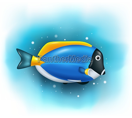 Dibujos animados lindos peces tang azul - Stockphoto #28115757 | Agencia de  stock PantherMedia